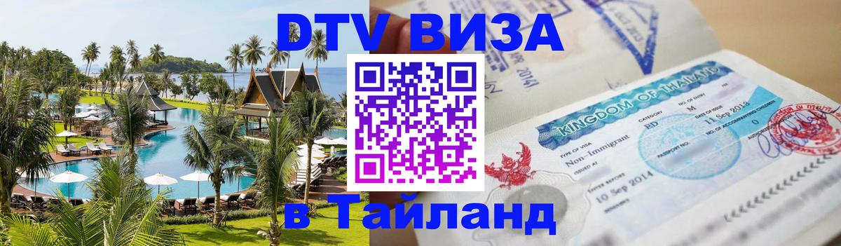 Оформление DTV визы под ключ: стоимость и тарифы, только загранпаспорт - Люберцы 