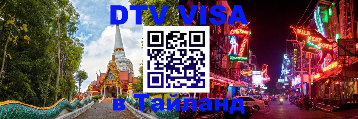 Оформление DTV визы под ключ: стоимость и тарифы, только загранпаспорт - Люберцы 